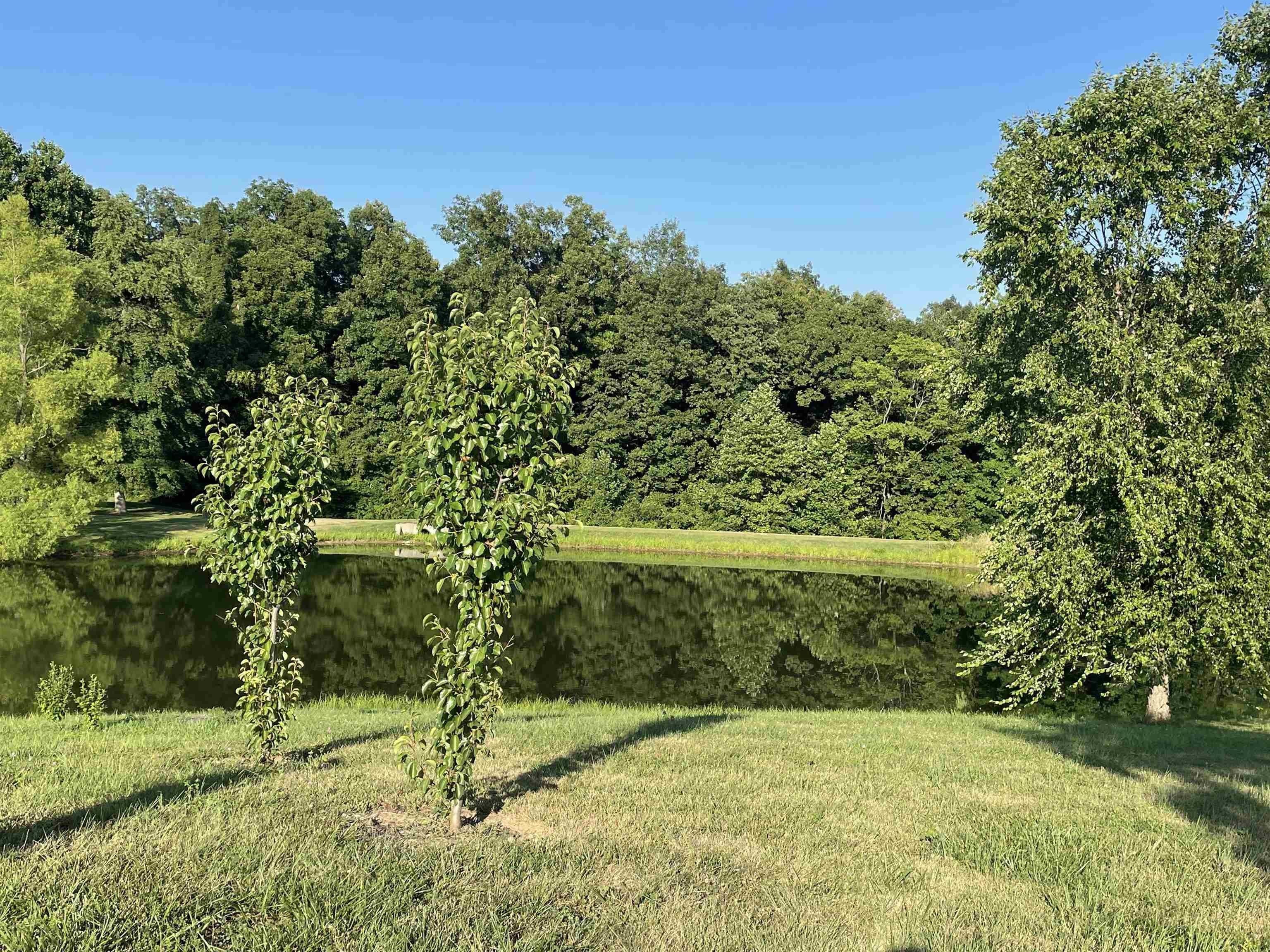 Mount Vernon, Posey County, IN Farms and Ranches, Homesites for sale Property ID 414230645