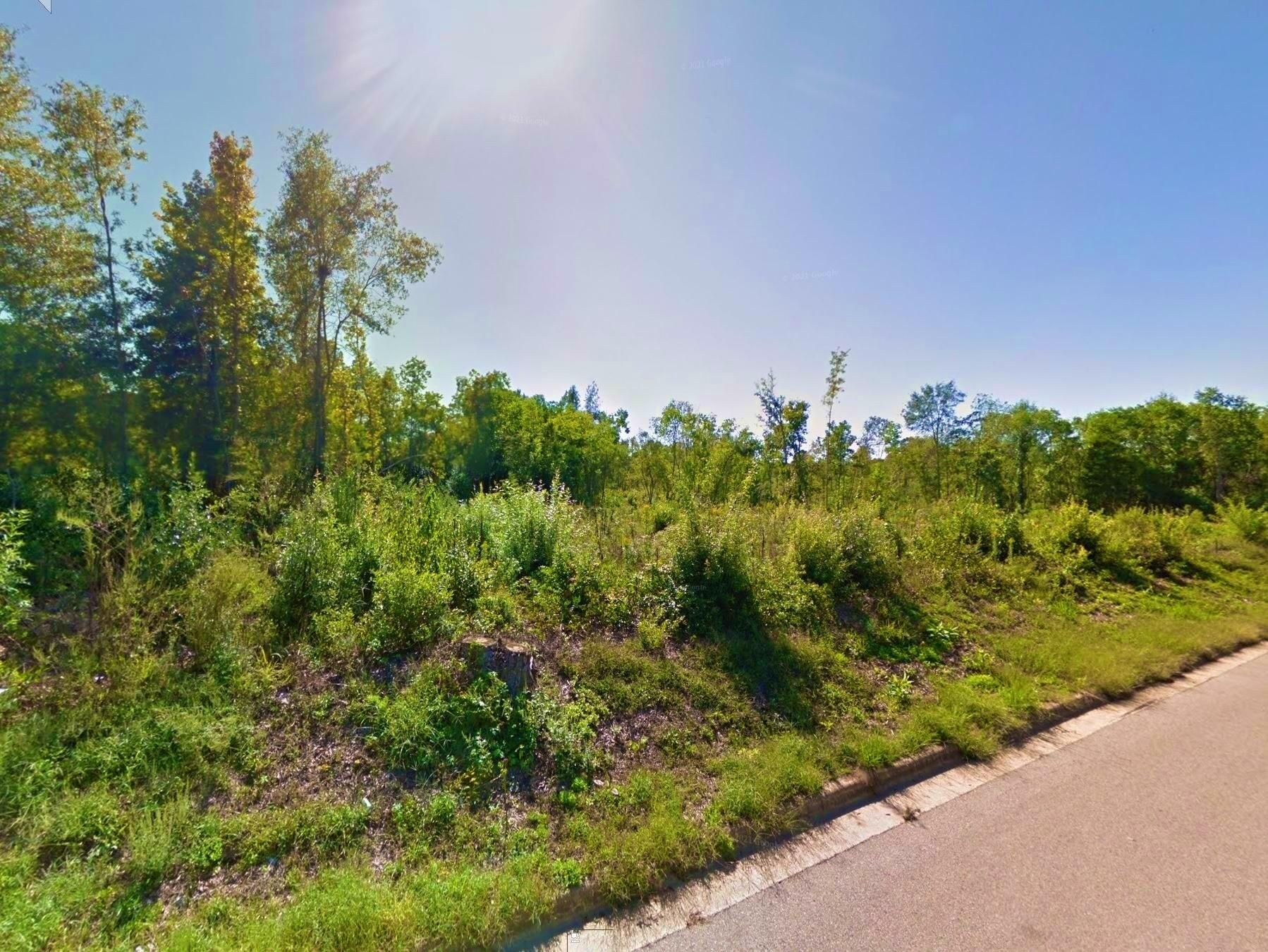 Center, Shelby County, TX Recreational Property, Undeveloped Land