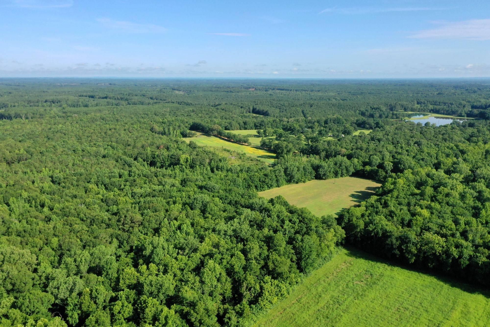 Fort Deposit, Lowndes County, AL Farms and Ranches, Hunting Property