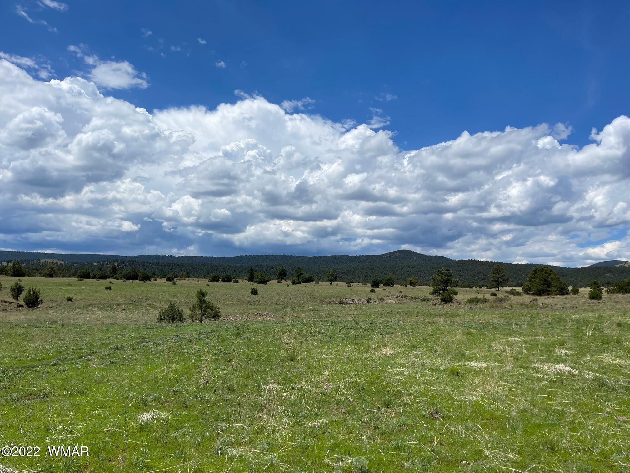 Greer, Apache County, AZ for sale Property ID 414245390 LandWatch