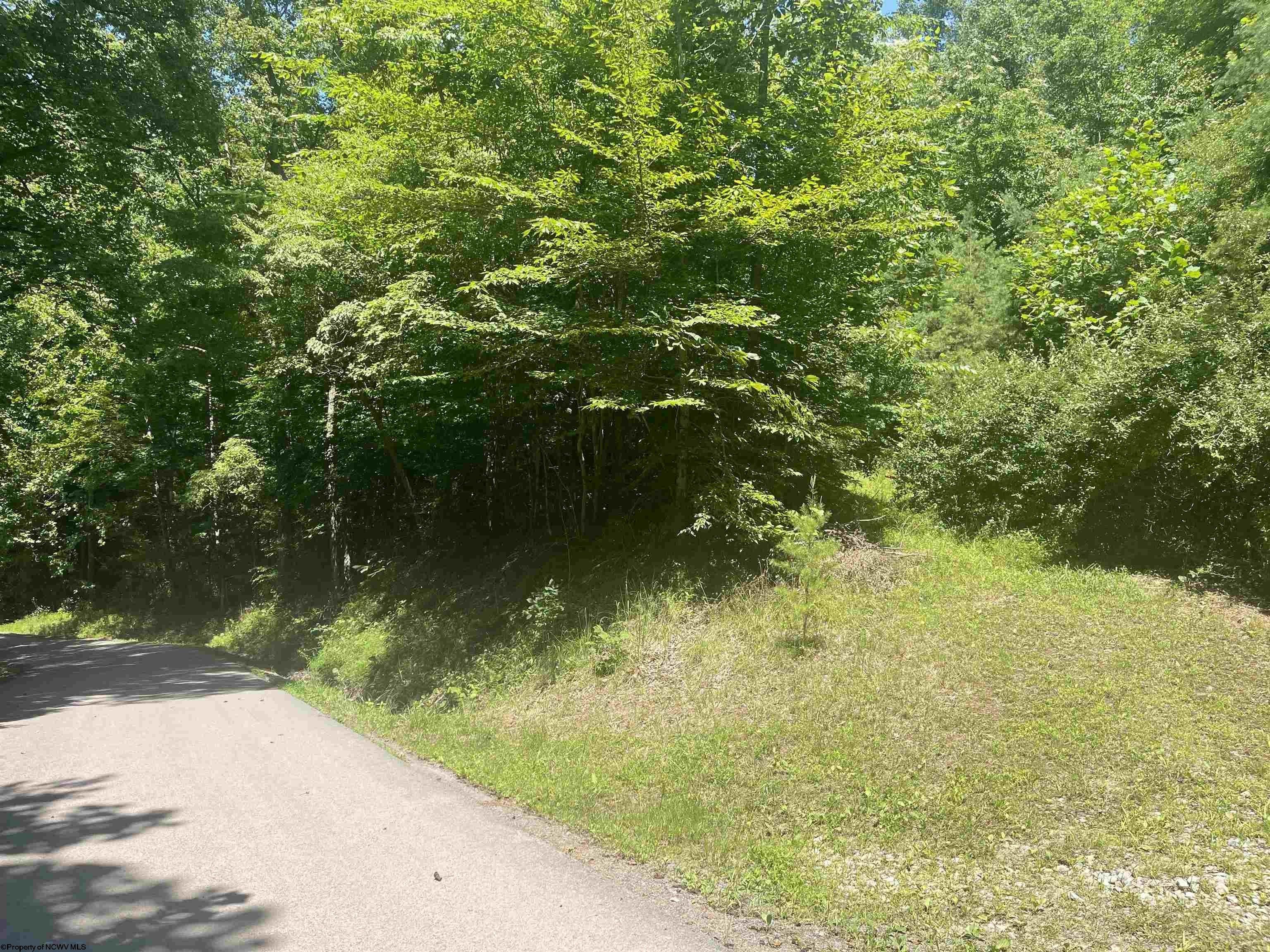 Roanoke, Lewis County, WV Undeveloped Land, Lakefront Property