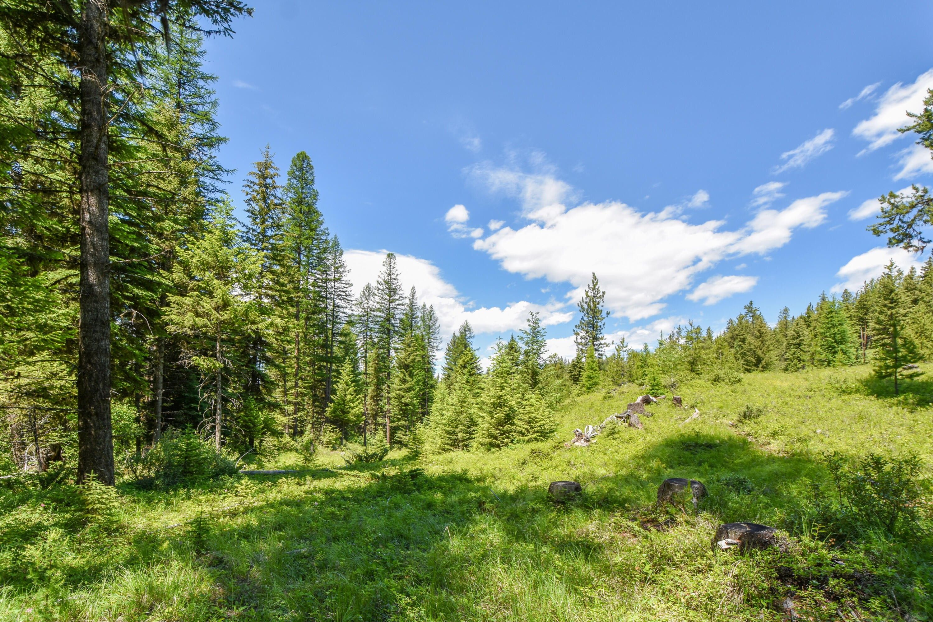 Trego, Lincoln County, MT Undeveloped Land for sale Property ID