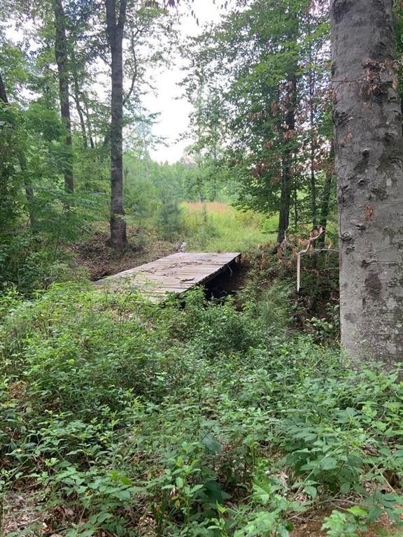 San Augustine, San Augustine County, TX Undeveloped Land for sale