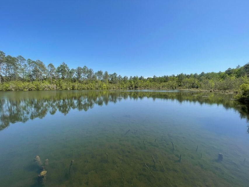 Defuniak Springs, Walton County, FL Lakefront Property, Waterfront