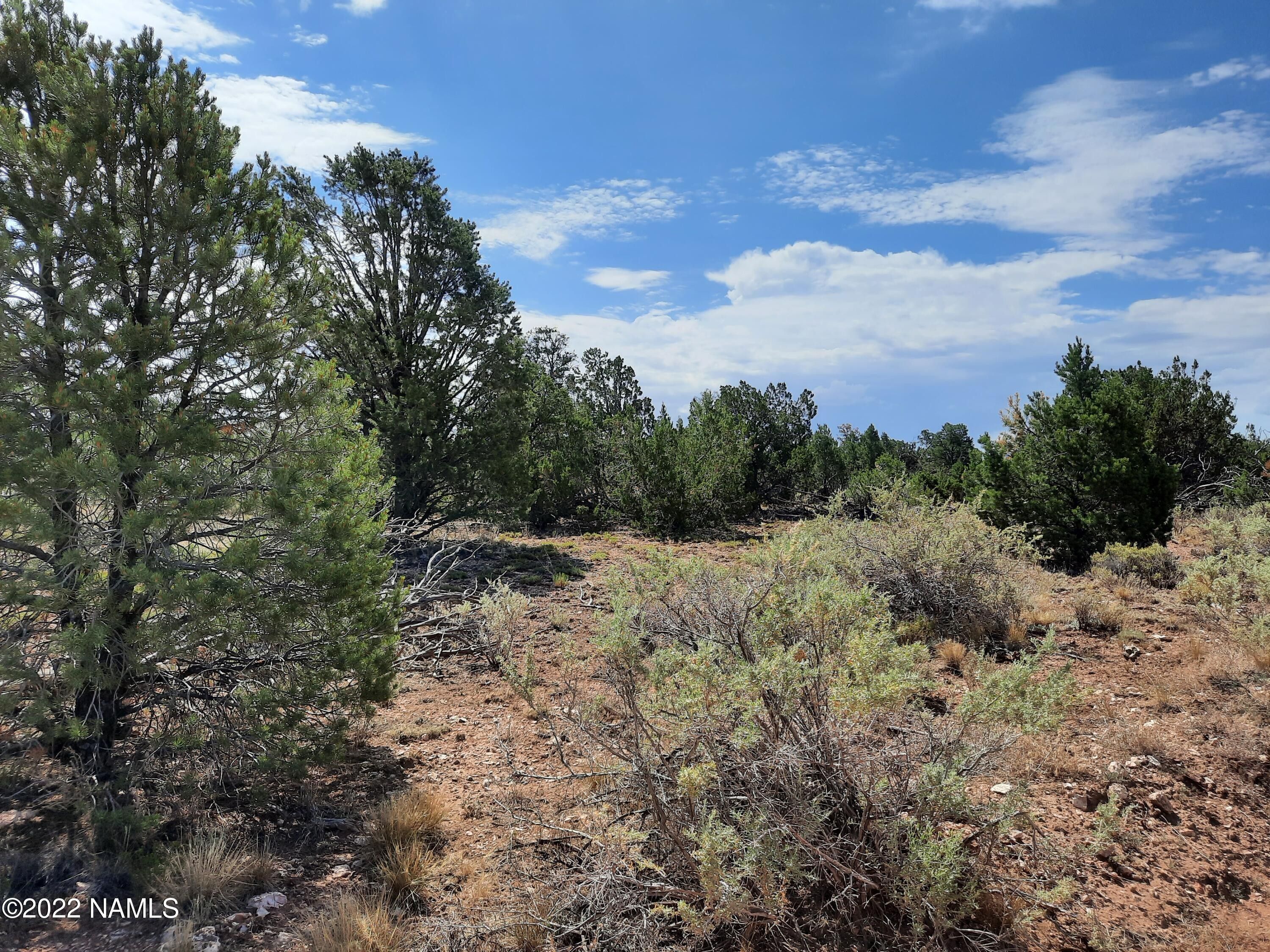 Williams, Coconino County, AZ Undeveloped Land for sale Property ID