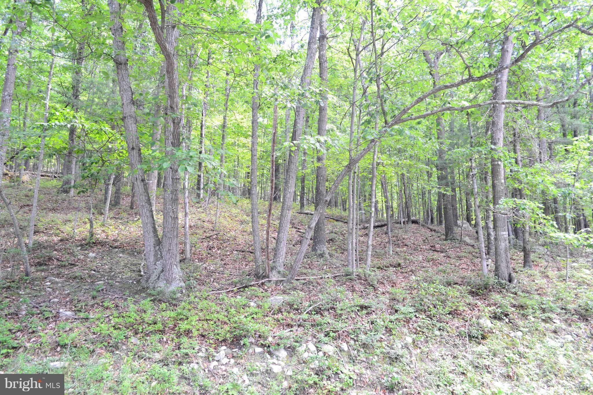 Wardensville, Hardy County, WV Undeveloped Land for sale Property ID