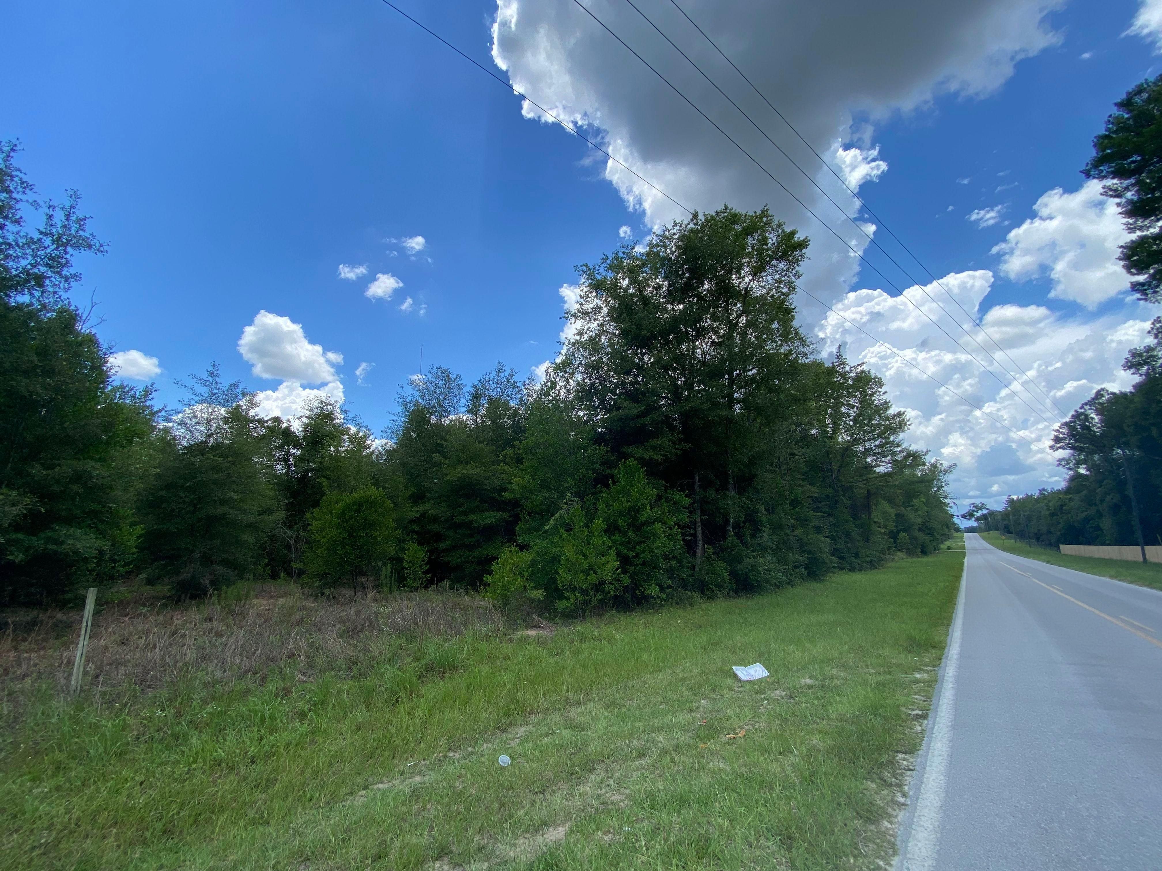 Williston, Levy County, FL Timberland Property for sale Property ID