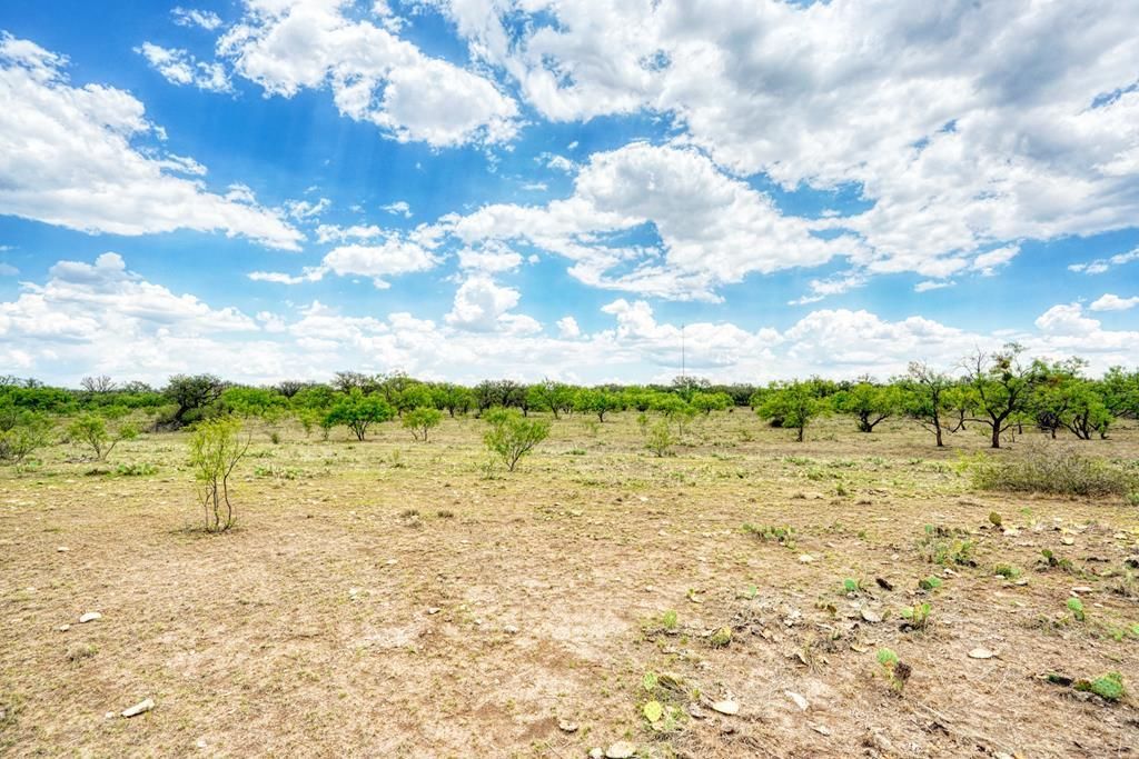London, Menard County, TX Farms and Ranches, Recreational Property for