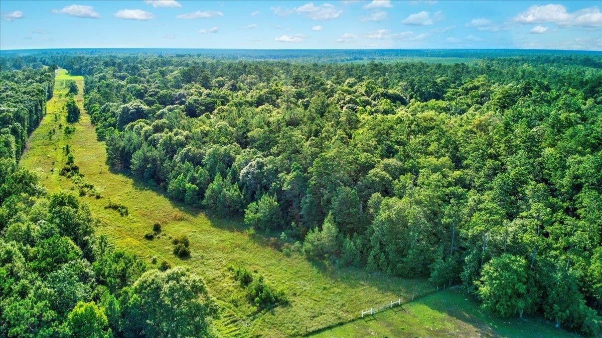 Kountze, Hardin County, TX Undeveloped Land, Lakefront Property