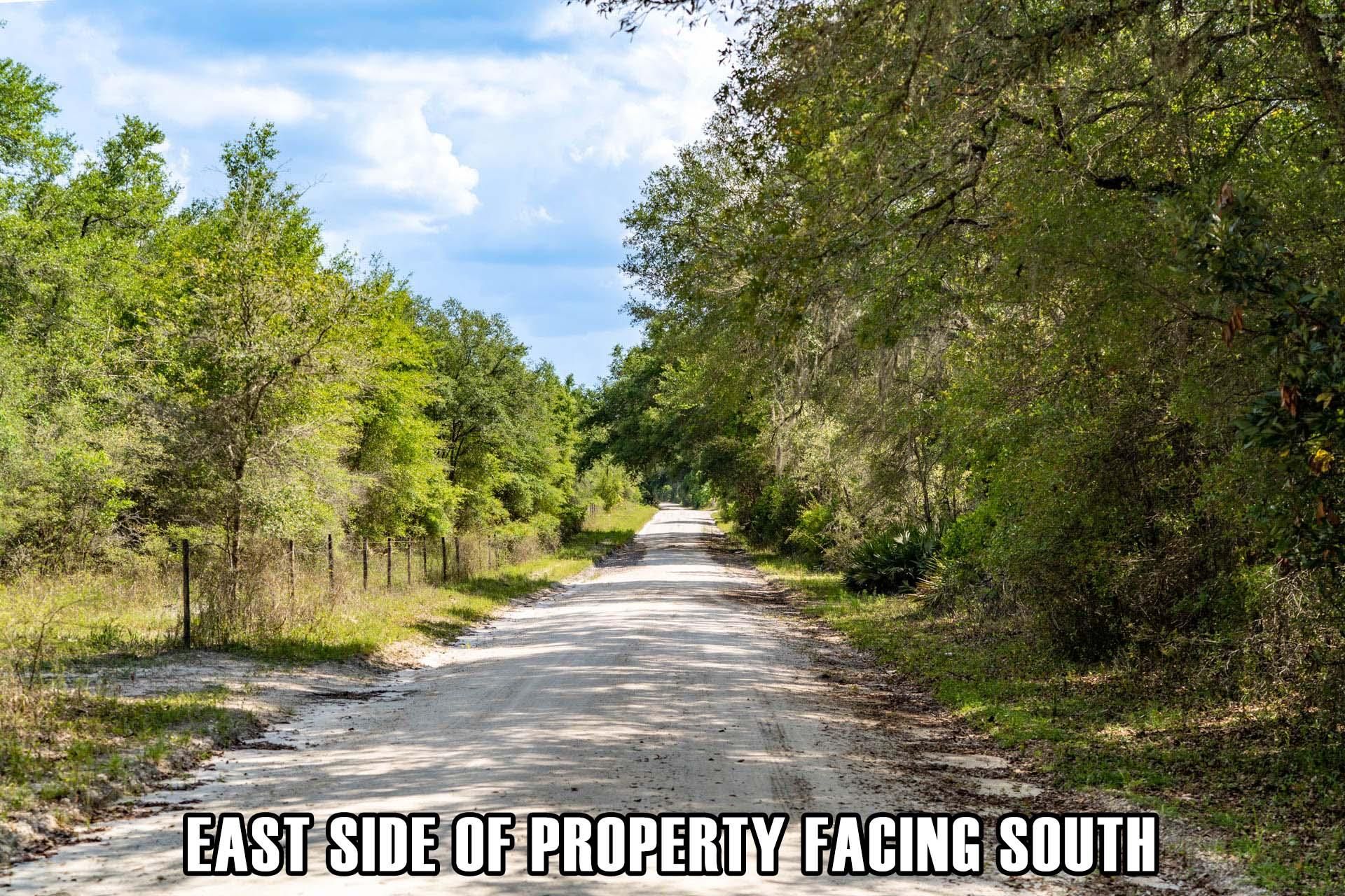 Old Town, Dixie County, FL Recreational Property, Undeveloped Land