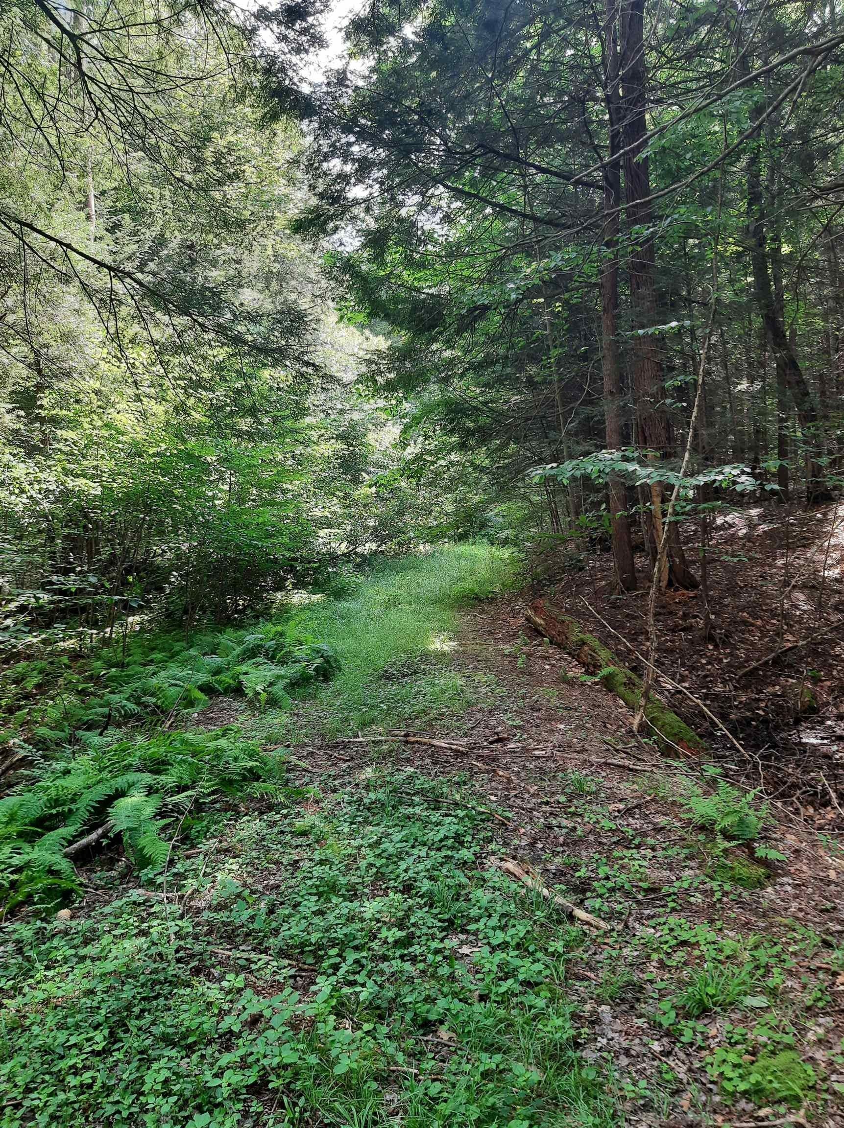 Westminster, Windham County, VT Undeveloped Land for sale Property ID