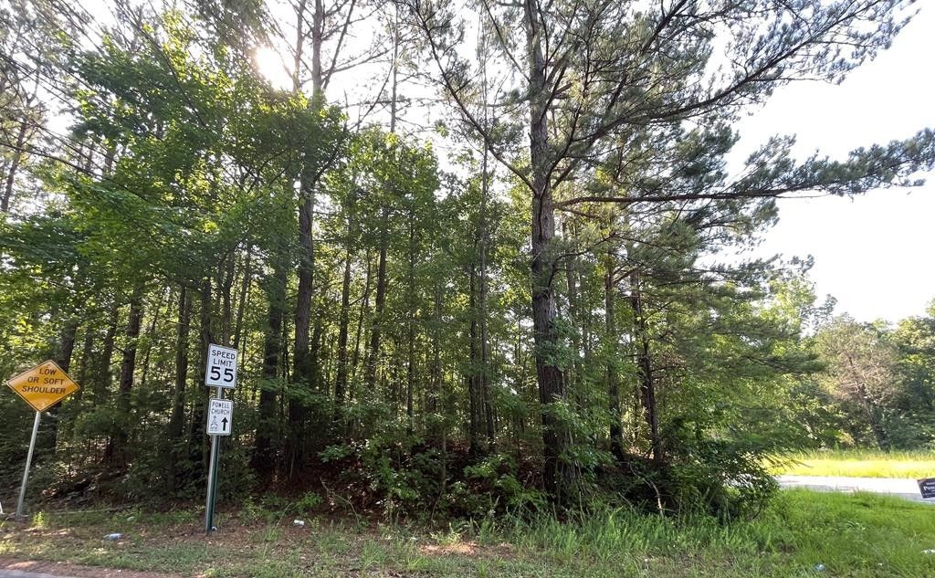 Talbotton, Talbot County, GA Undeveloped Land for sale Property ID