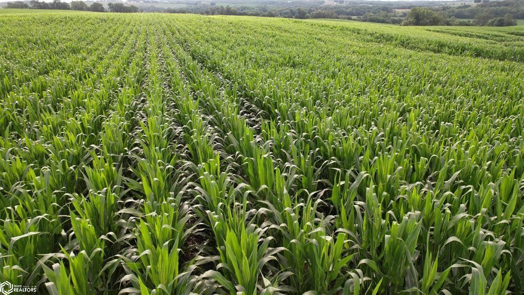 Albia, Monroe County, IA Farms and Ranches for sale Property ID