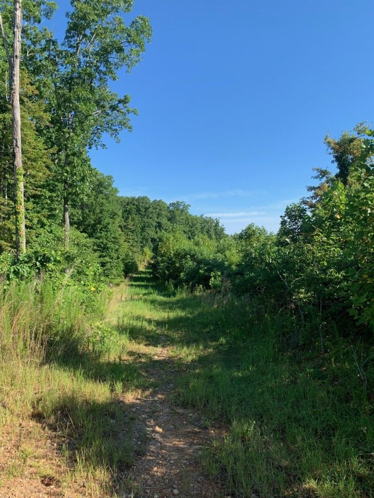 Lobelville, Perry County, TN Undeveloped Land for sale Property ID