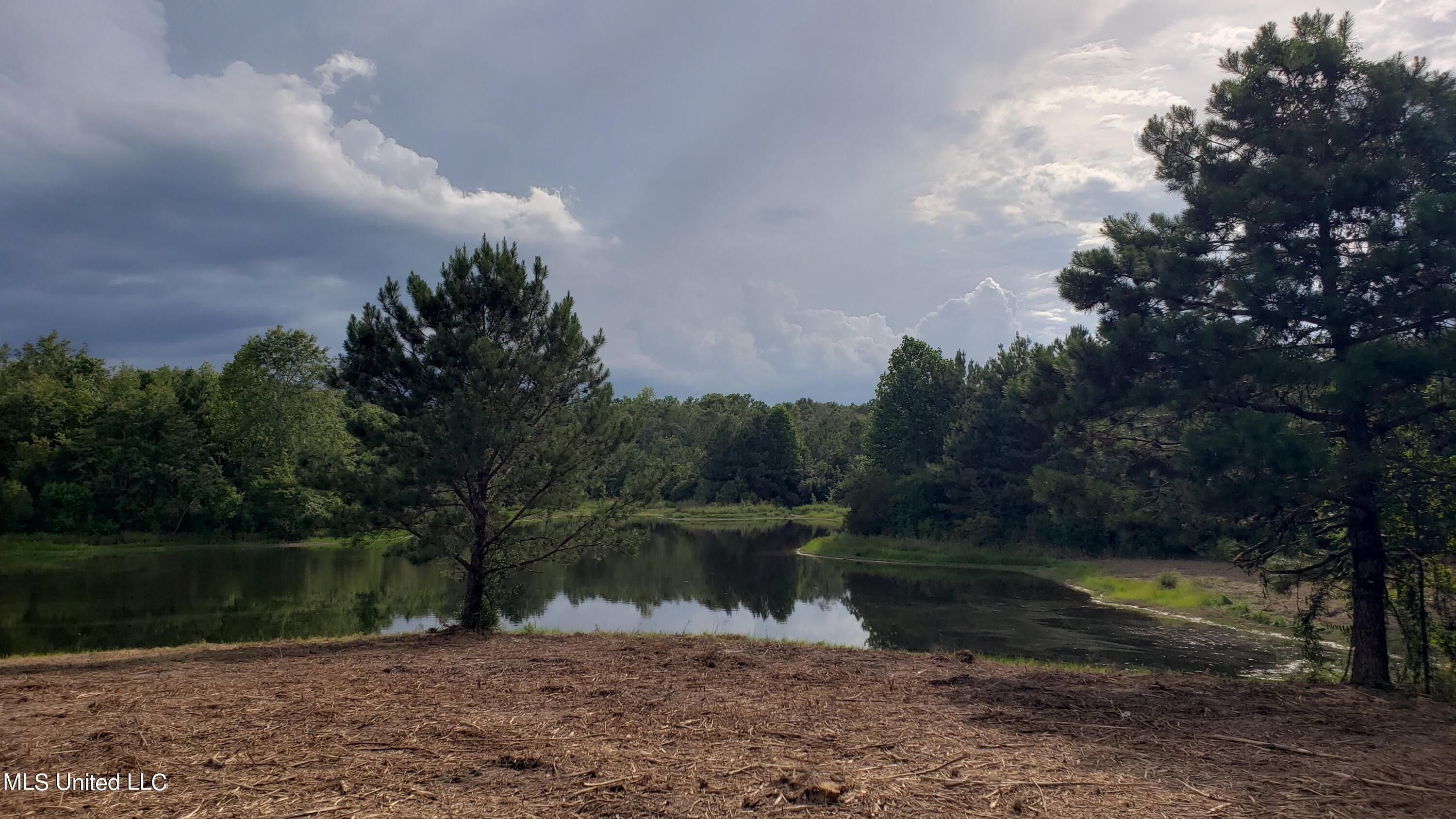 Poplarville, Pearl River County, MS Undeveloped Land, Lakefront
