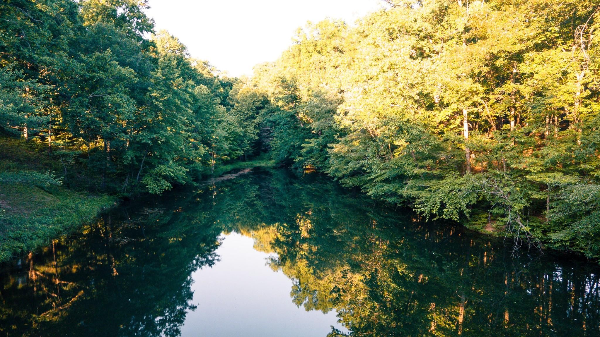 Bon Aqua, Hickman County, TN Farms and Ranches, Undeveloped Land for