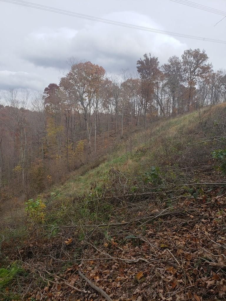 Lucasville, Scioto County, OH Undeveloped Land for sale Property ID