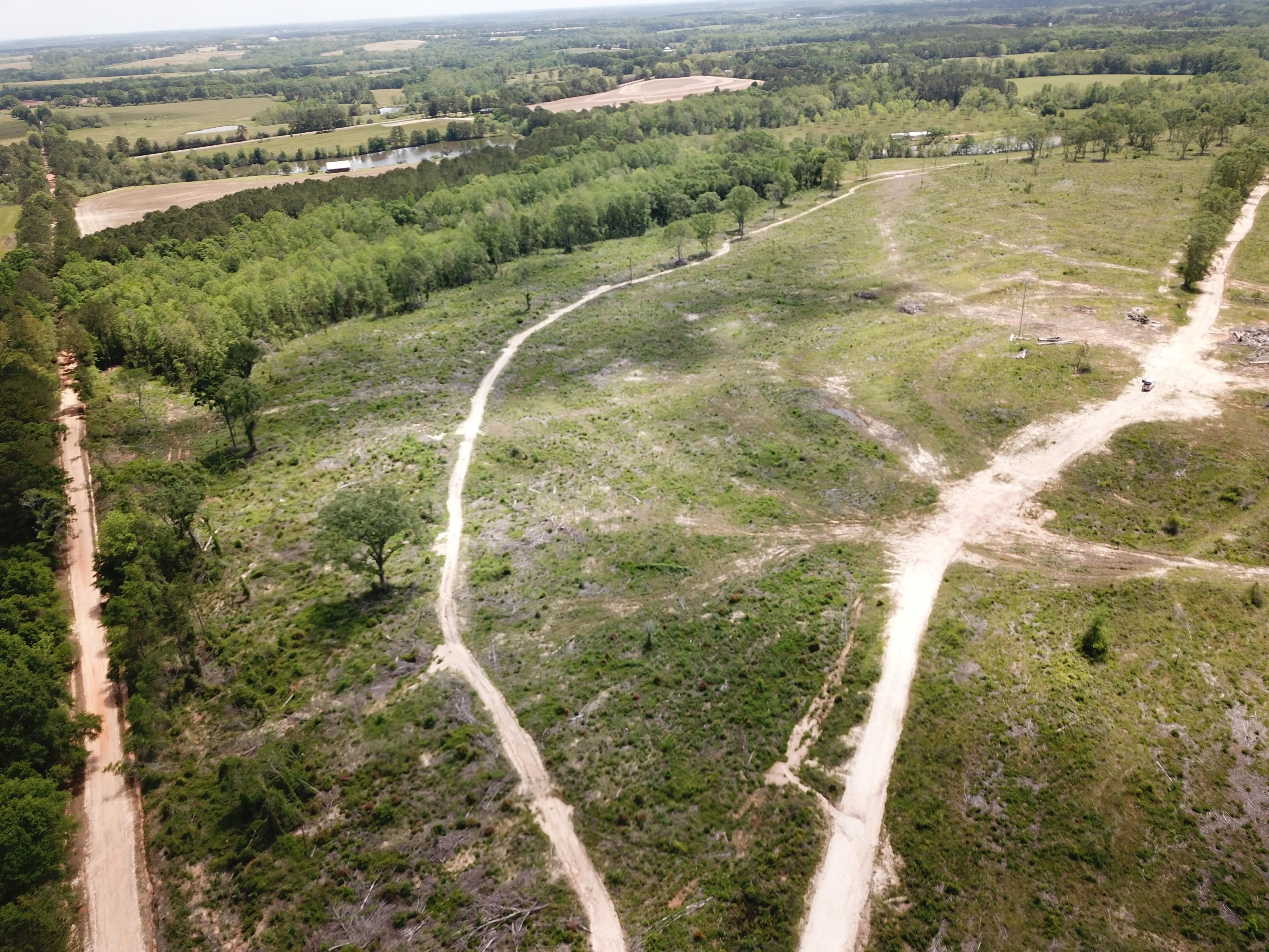 Fairview, Coffee County, AL Timberland Property for sale Property ID