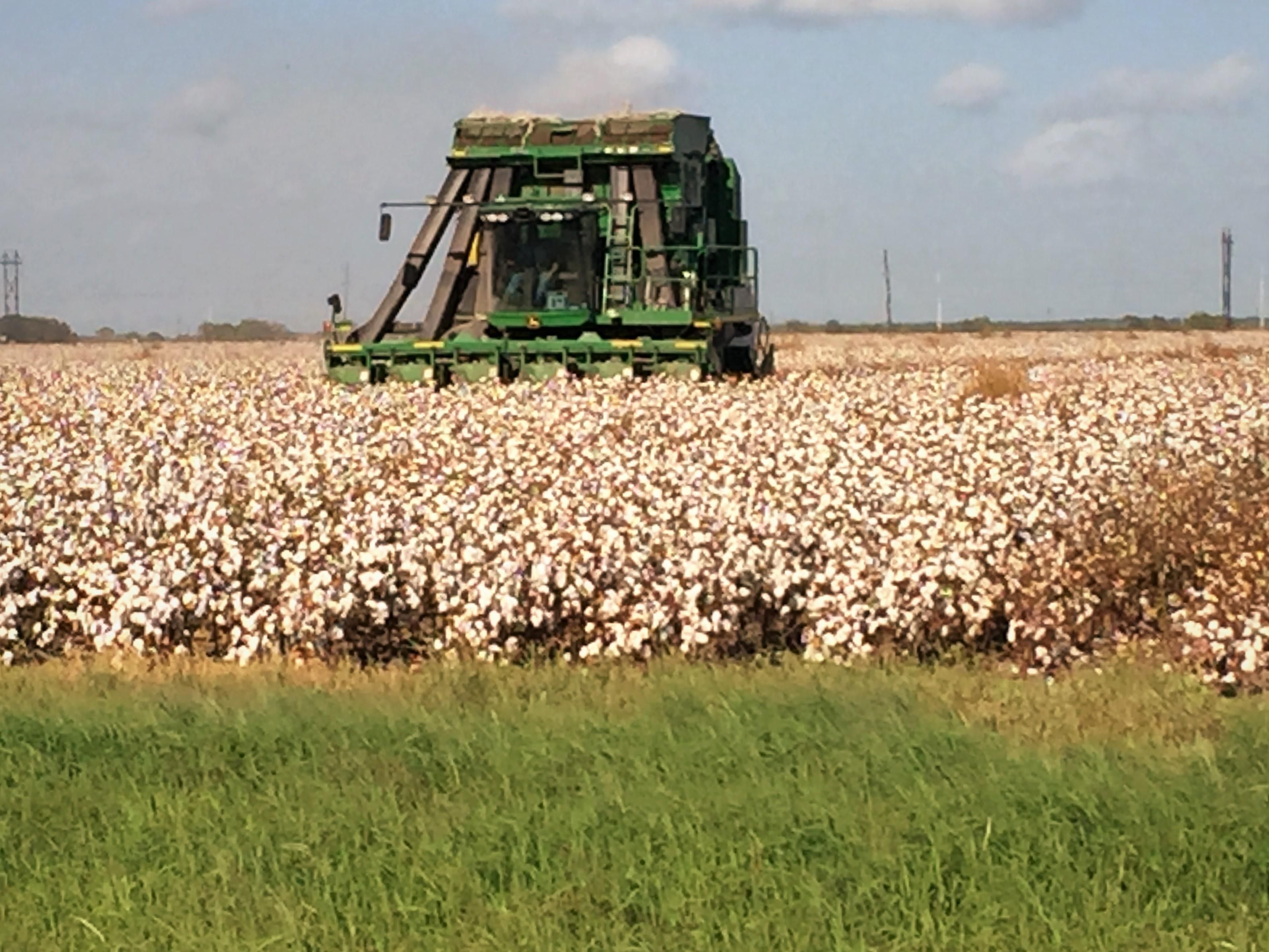 Clemville, Matagorda County, TX Farms and Ranches, Undeveloped Land
