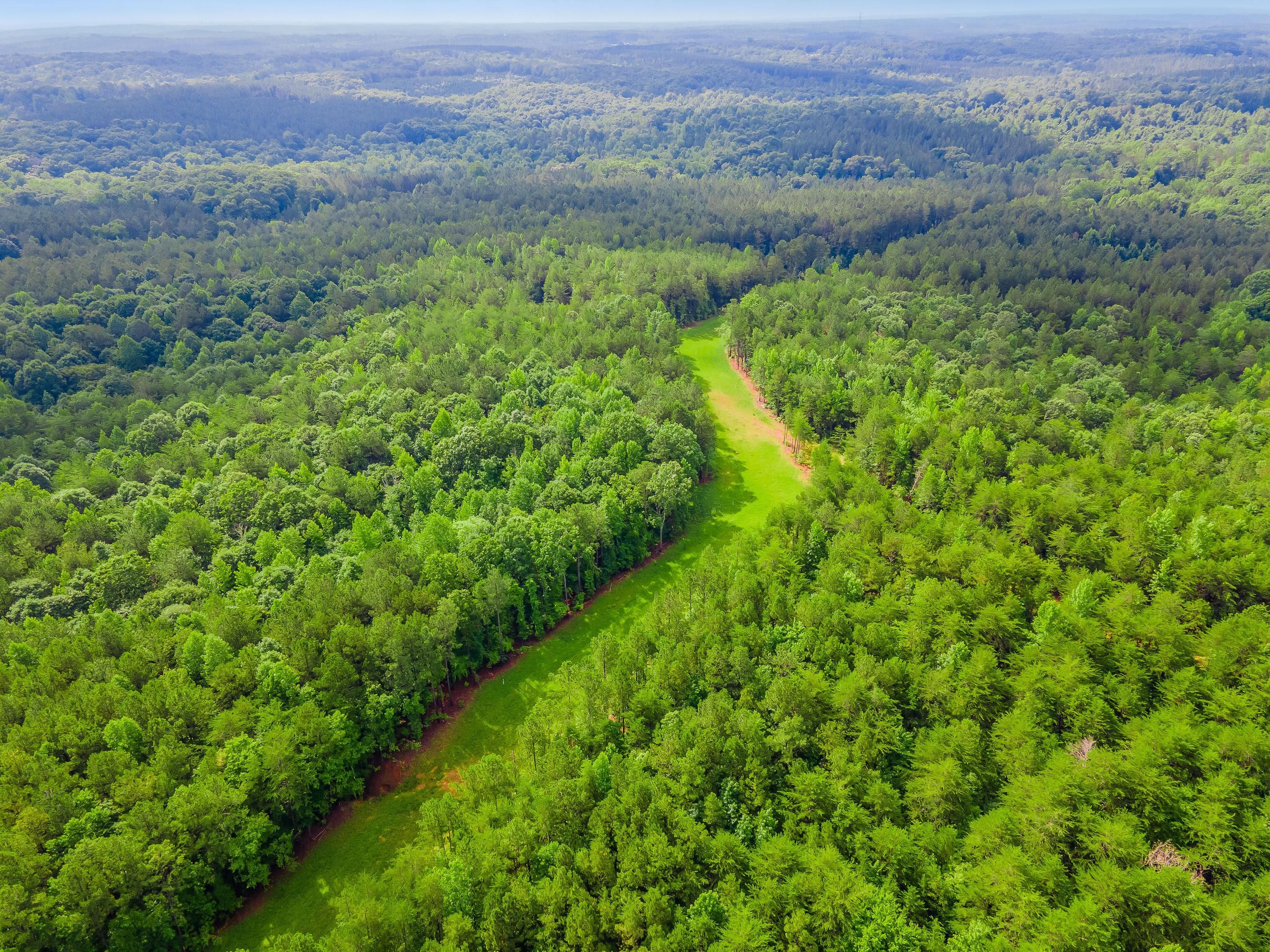 Woodruff, Spartanburg County, SC Recreational Property, Timberland