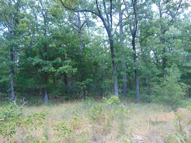 Wister, Le Flore County, OK Recreational Property, Hunting Property for