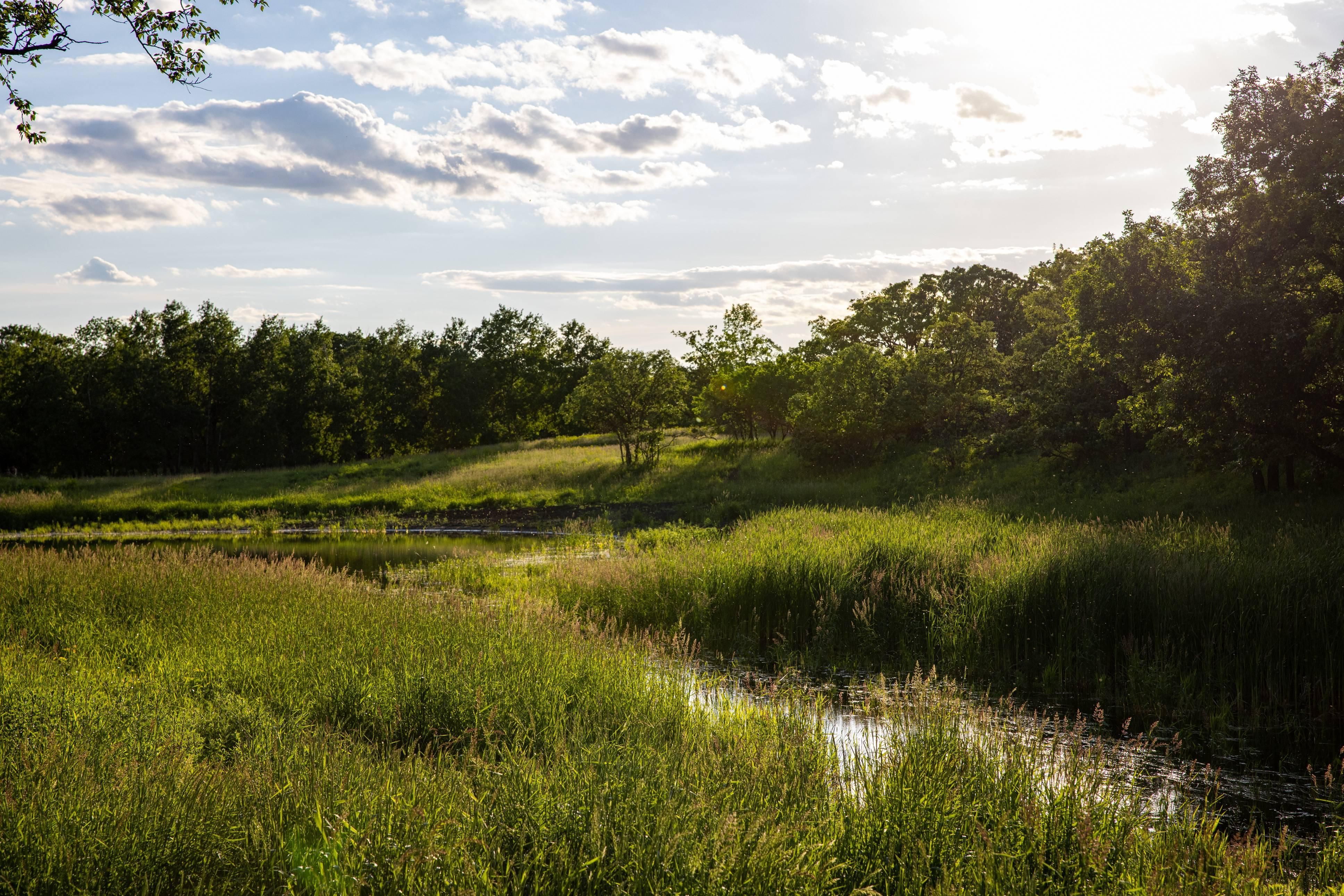 6 EVENSON OAK MTN Road, Bottineau, ND 58318 LandWatch