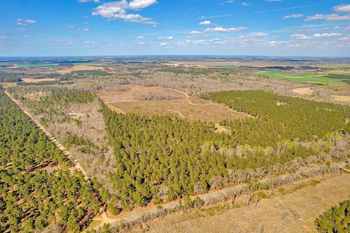 Elko, Houston County, GA Recreational Property, Timberland Property