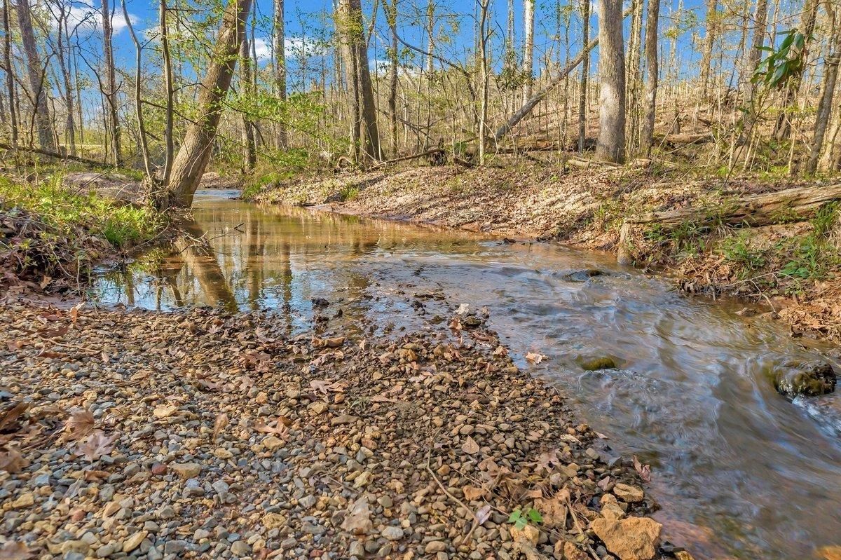 Elko, Houston County, GA Recreational Property, Timberland Property