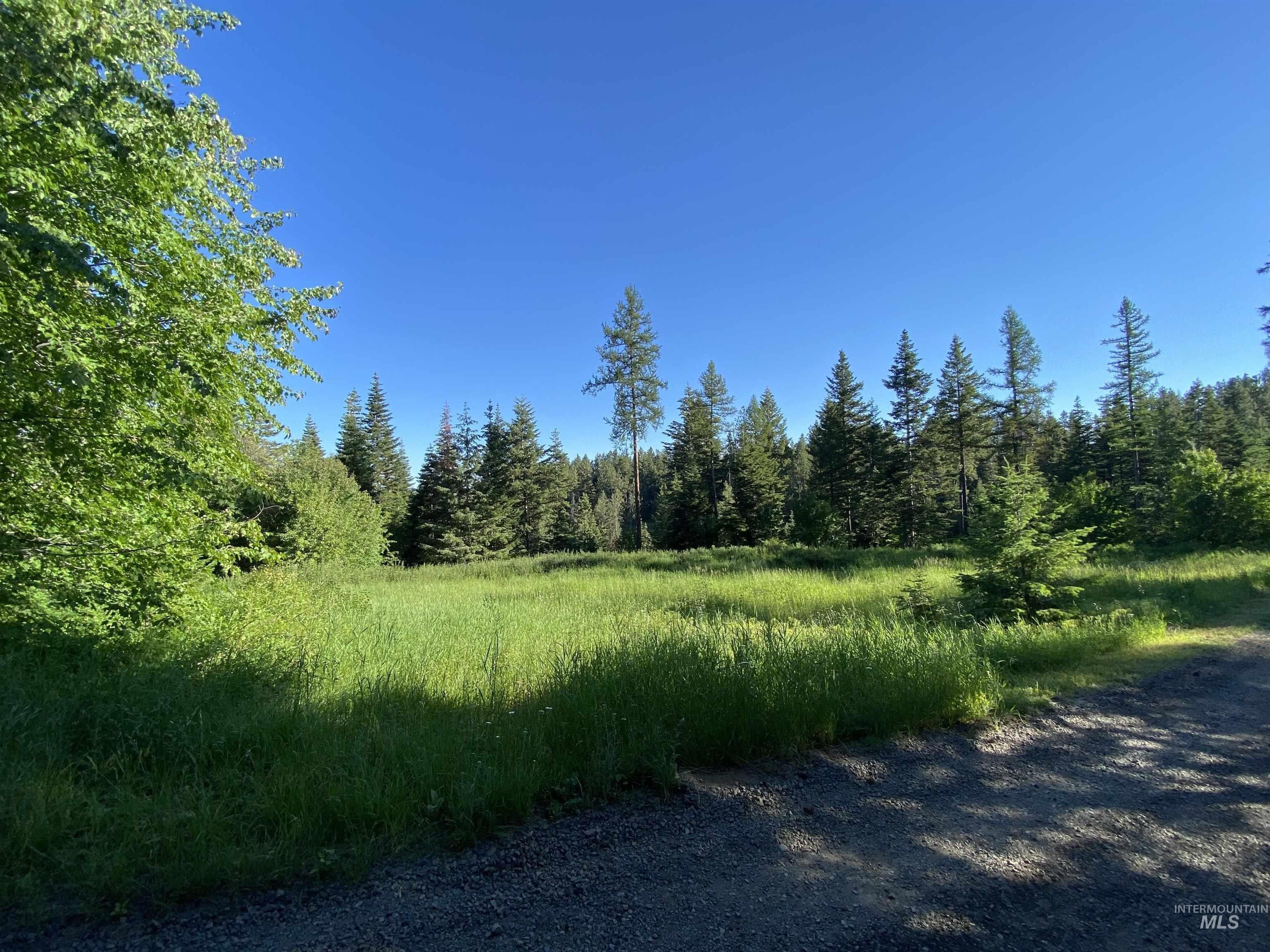 Waha, Nez Perce County, ID Undeveloped Land for sale Property ID