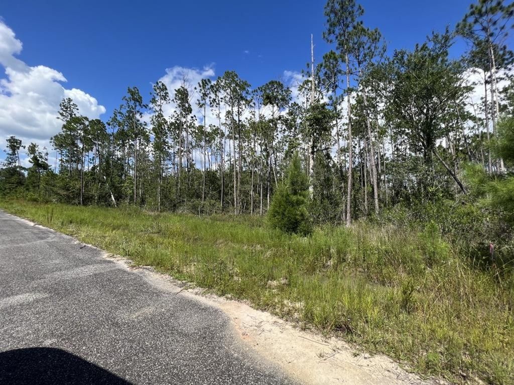 Wewahitchka, Gulf County, FL Undeveloped Land, Homesites for sale