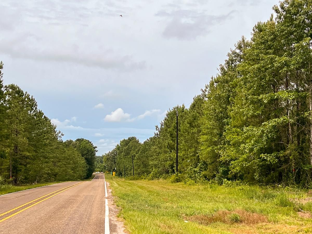 Jamestown, Newton County, TX Recreational Property, Hunting Property