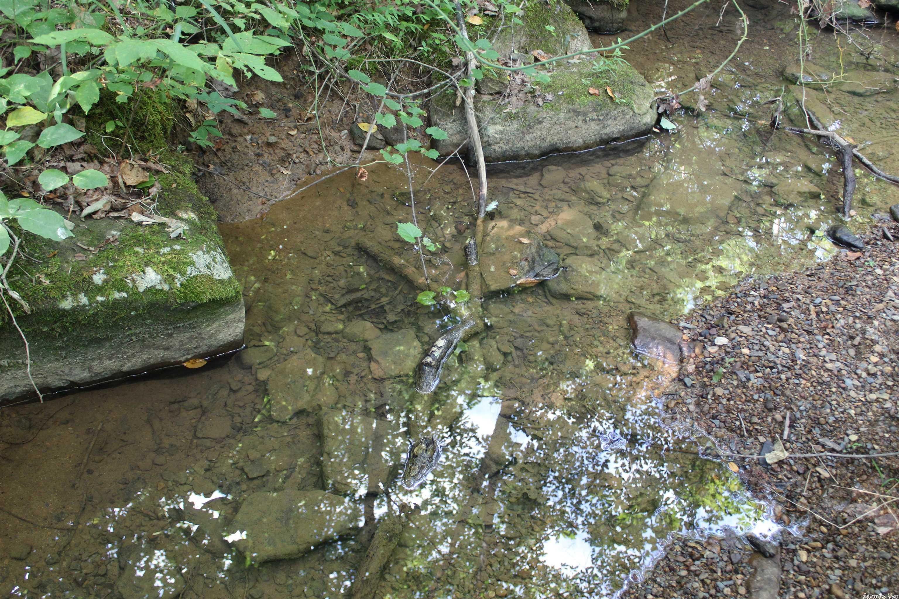 Dennard, Van Buren County, AR Undeveloped Land for sale Property ID