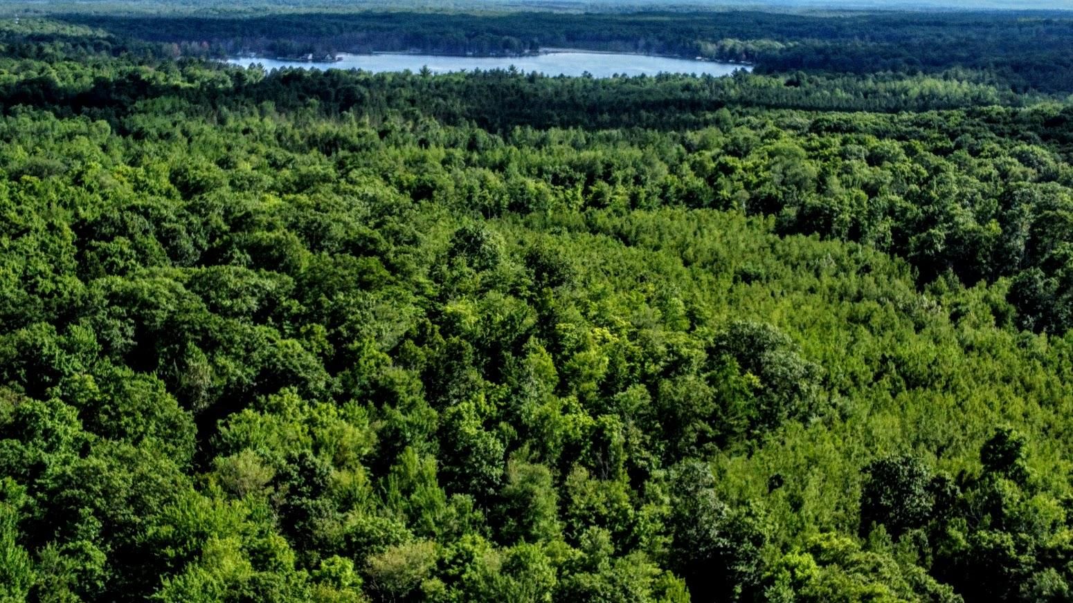 Crandon, Forest County, WI Recreational Property, Hunting Property for