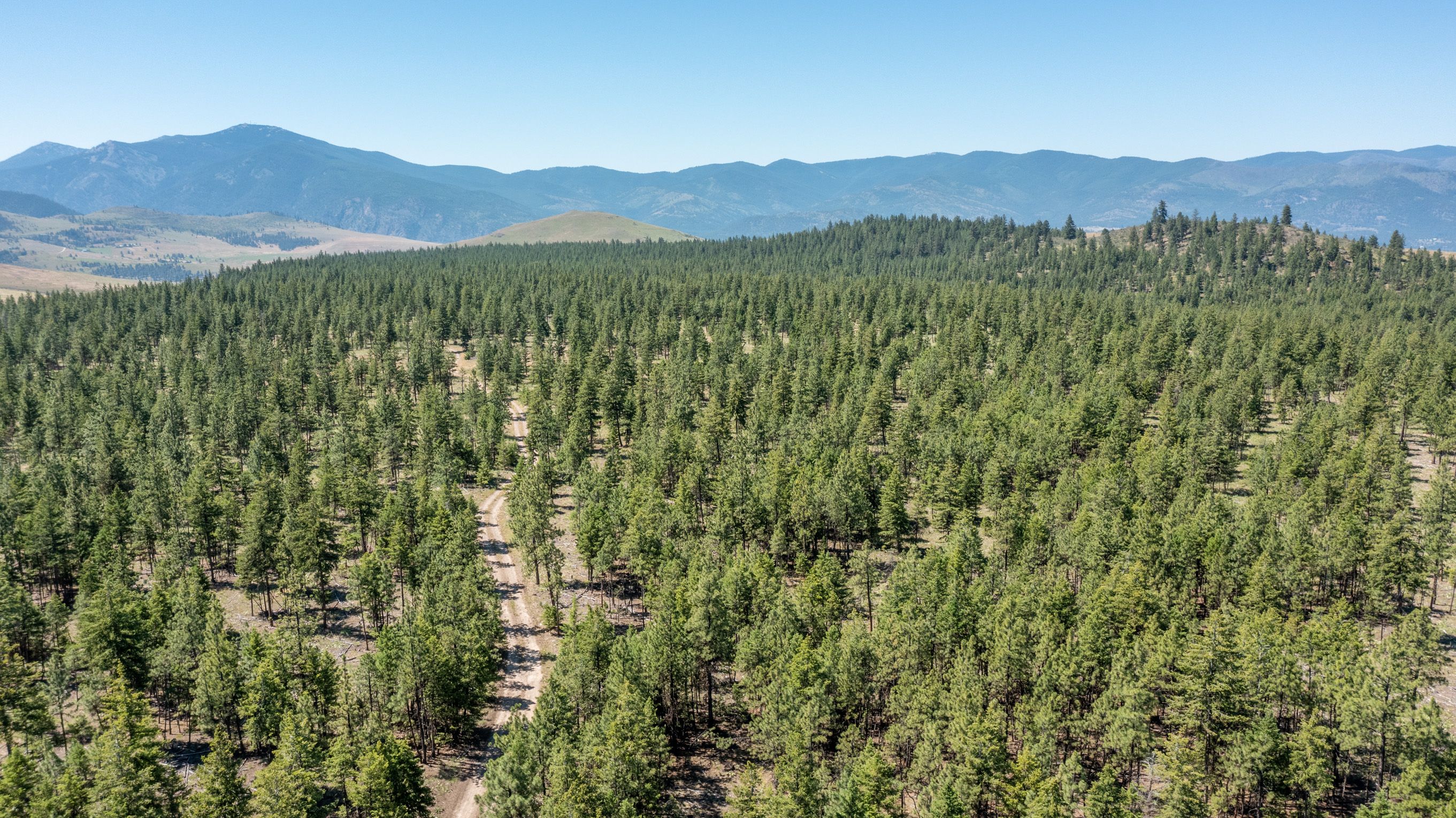 Plains, Sanders County, MT Undeveloped Land for sale Property ID