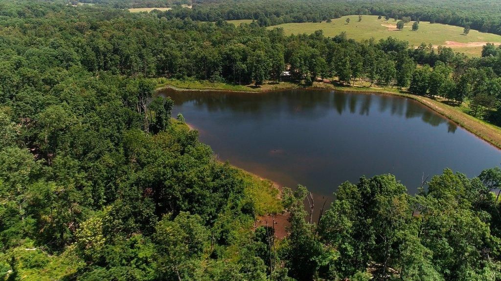 Grassy, Bollinger County, MO Farms and Ranches, Timberland Property