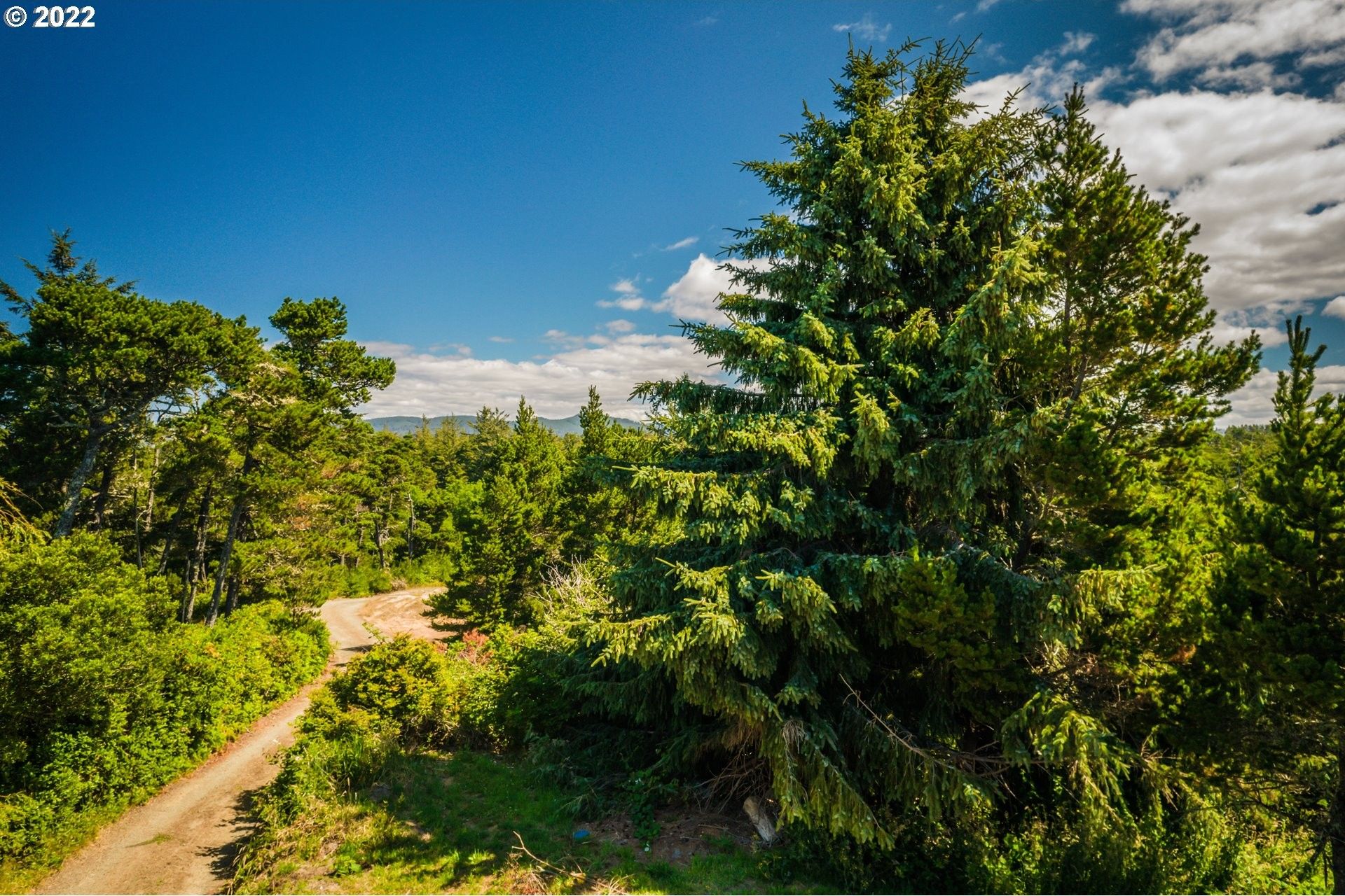 Florence, Lane County, OR Undeveloped Land, Homesites for sale Property