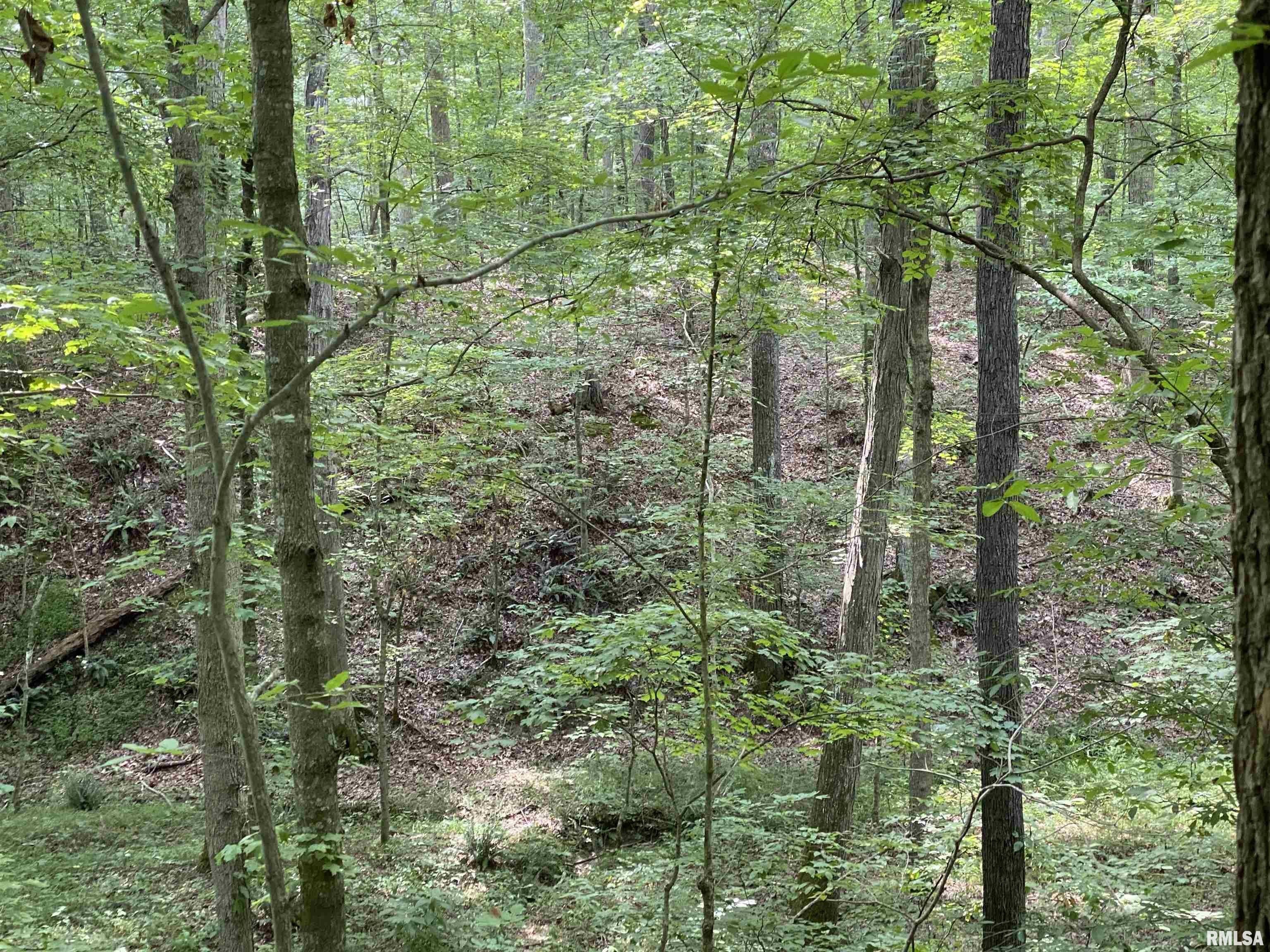 Stonefort, Williamson County, IL Undeveloped Land for sale Property ID