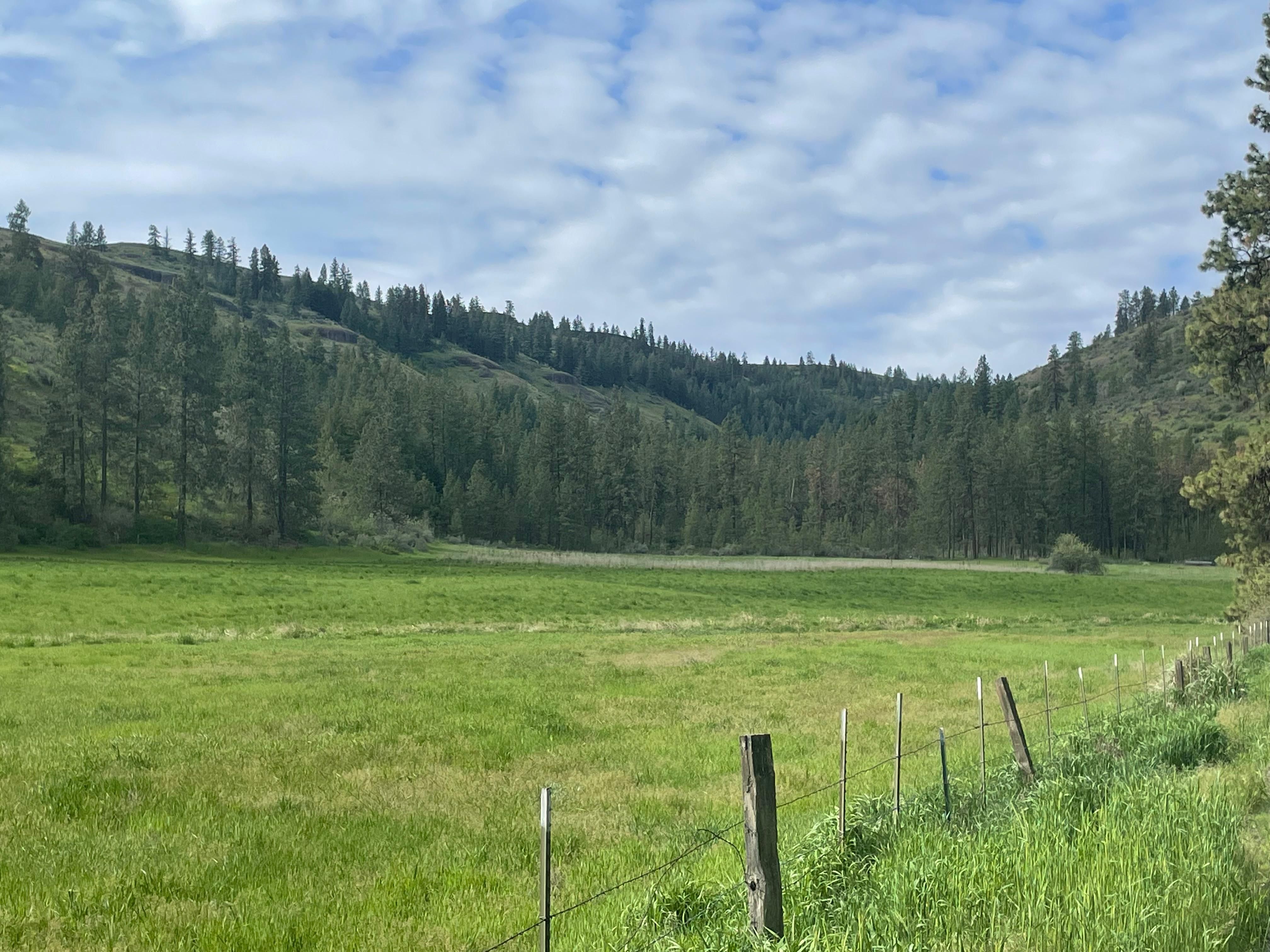 Welsh Creek Road North, Creston, WA 99117 LandWatch
