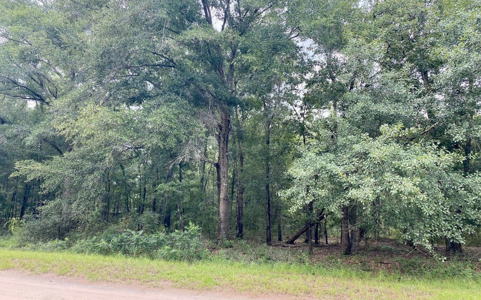 Jennings, Hamilton County, FL Undeveloped Land, Homesites for sale