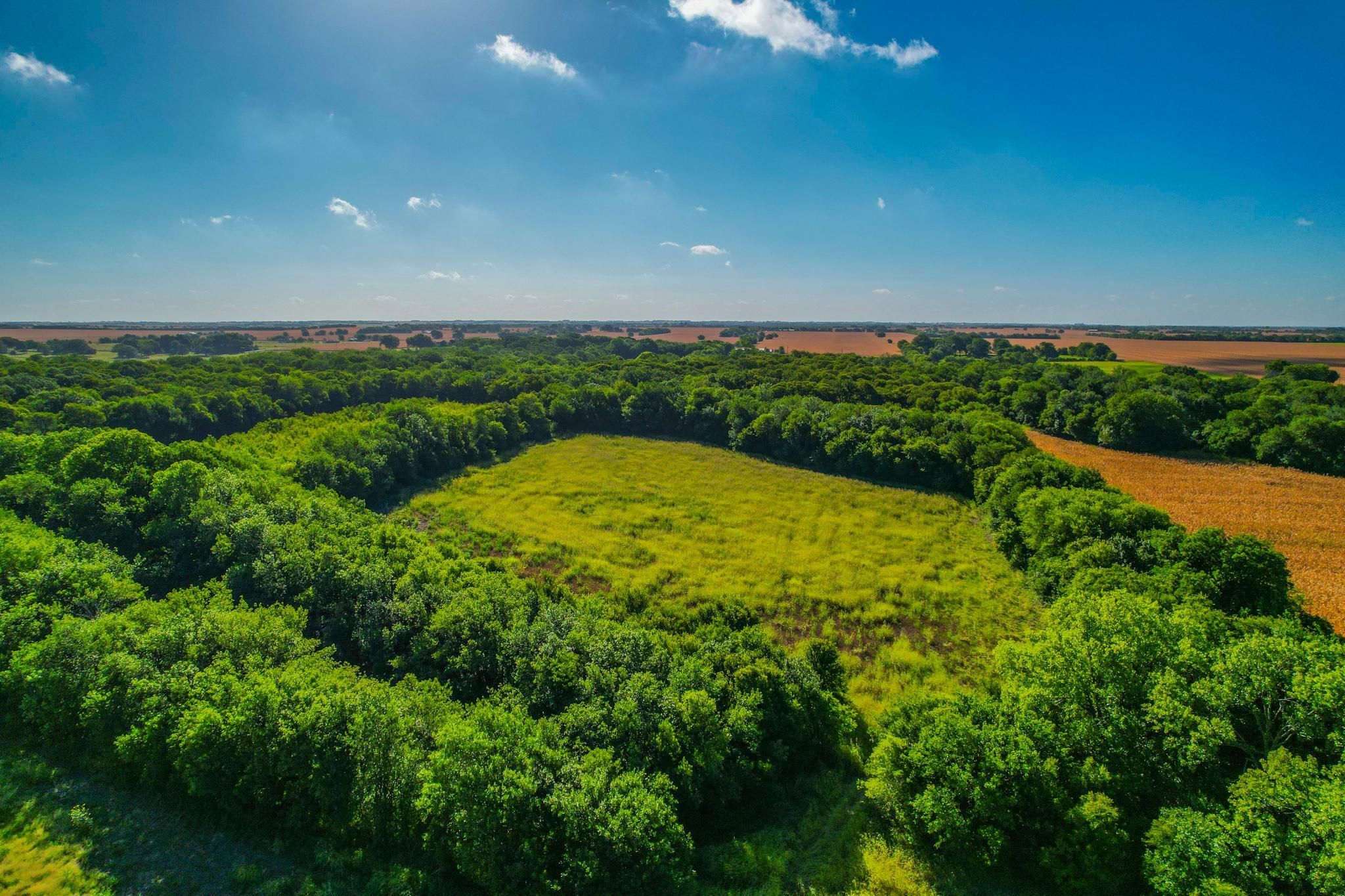 Temple, Bell County, TX Farms and Ranches, Recreational Property