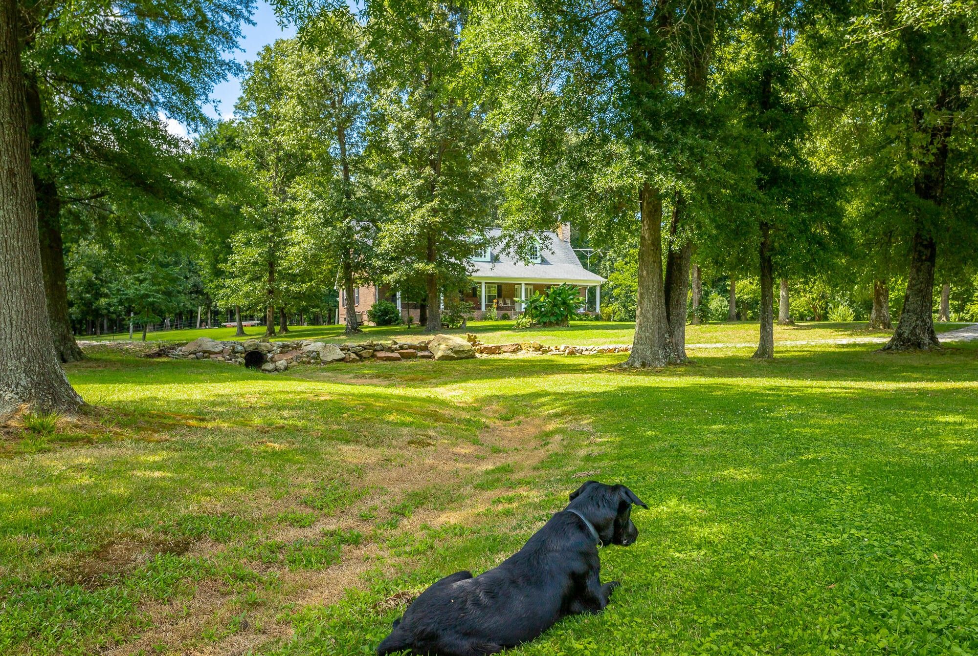 Bryant, Jackson County, AL House for sale Property ID 414282515 LandWatch