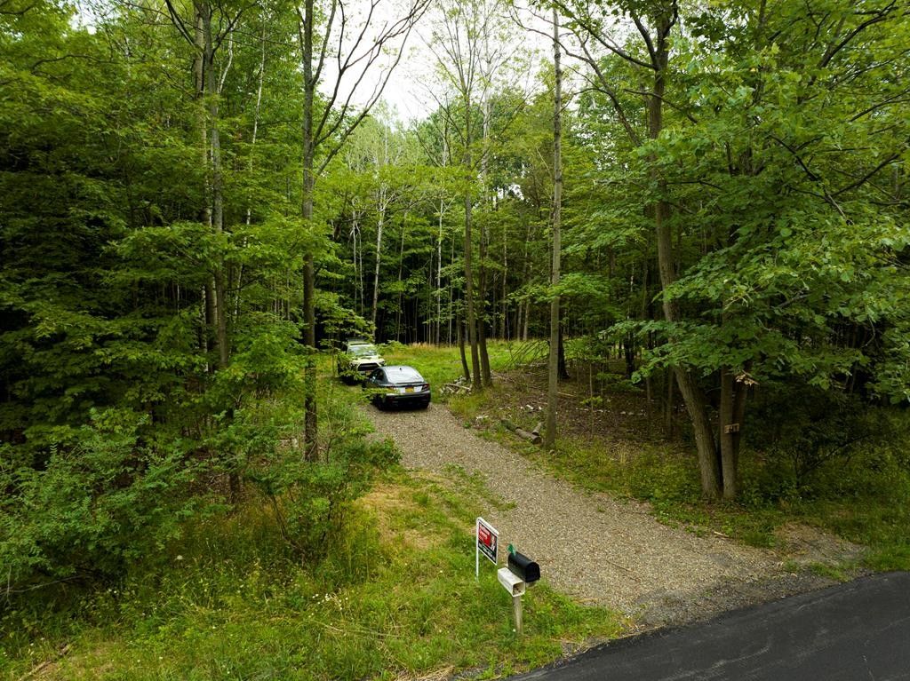 Beaver Dams, Chemung County, NY Undeveloped Land for sale Property ID