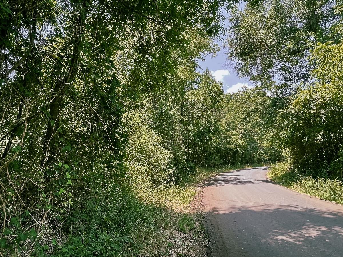 Cushing, Nacogdoches County, TX Timberland Property, Hunting Property