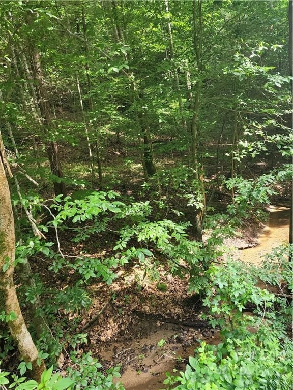 Lenoir, Caldwell County, NC Recreational Property, Undeveloped Land for
