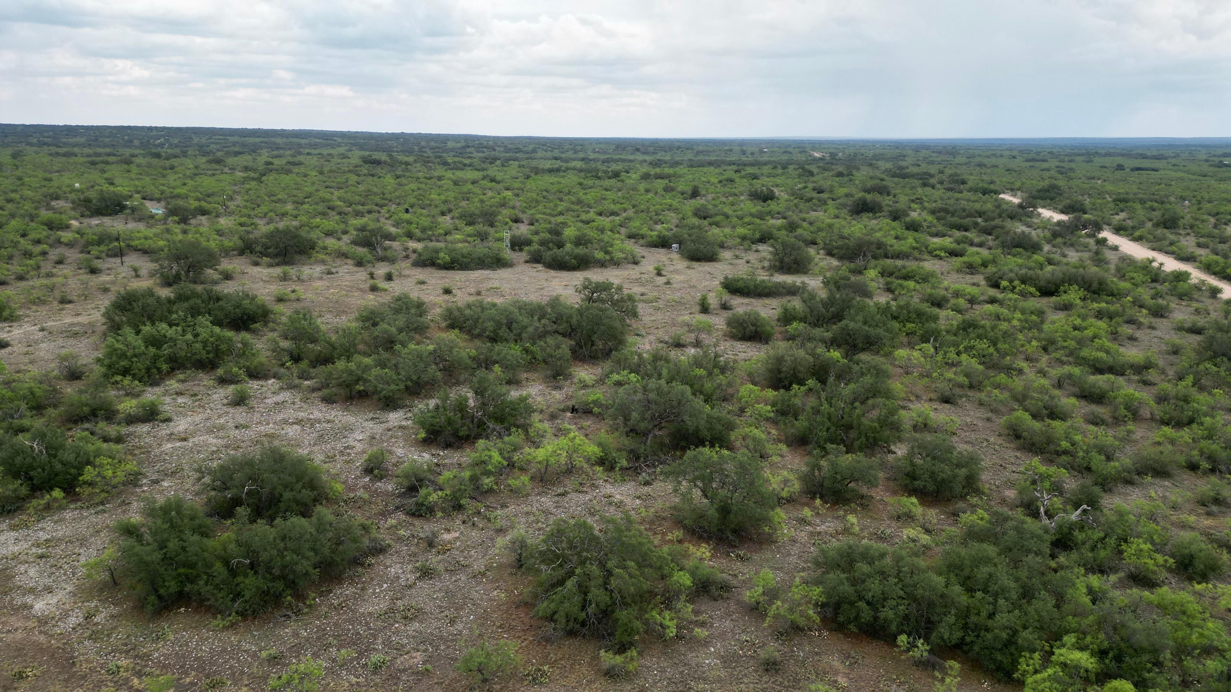 Menard, Menard County, TX Farms and Ranches, Recreational Property, Hunting Property for sale