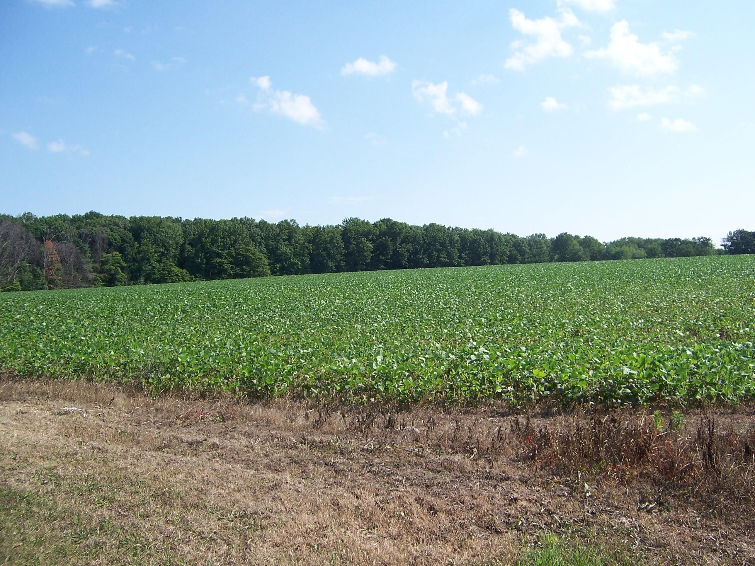 Lakeview, Montcalm County, MI Undeveloped Land for sale Property ID