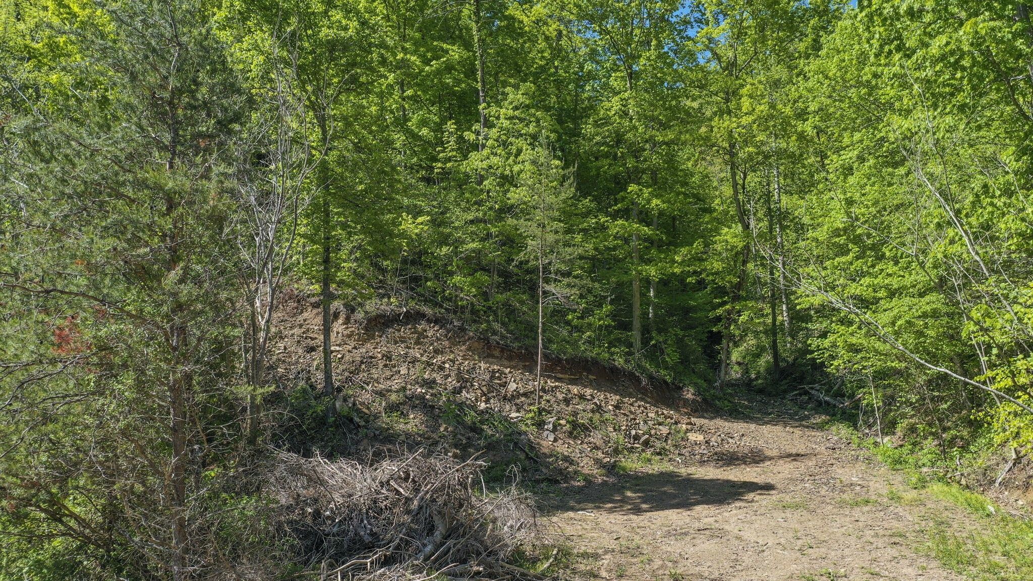 Rogersville, Hawkins County, TN Undeveloped Land for sale Property ID