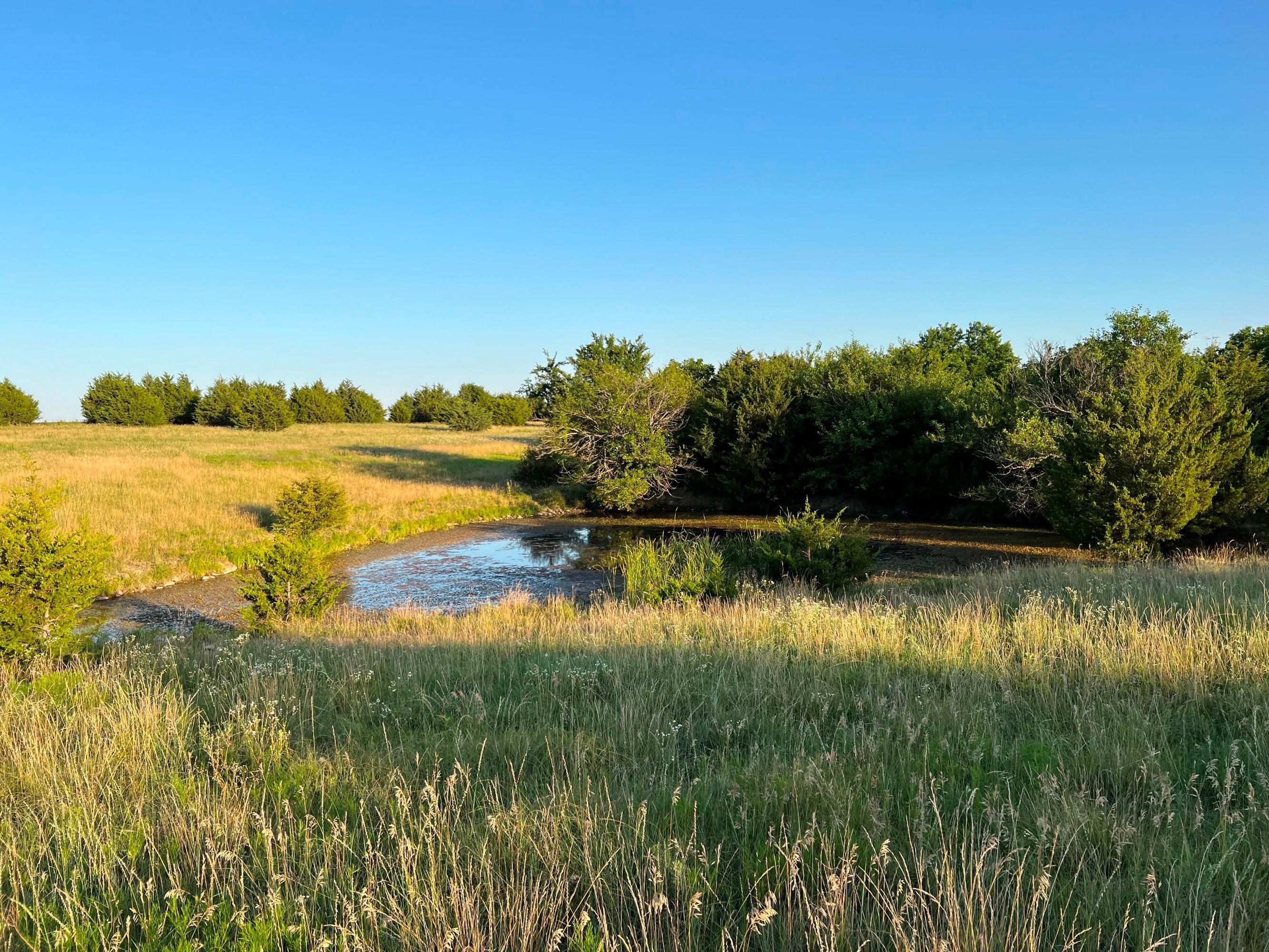 Lyndon, Osage County, KS Undeveloped Land for sale Property ID