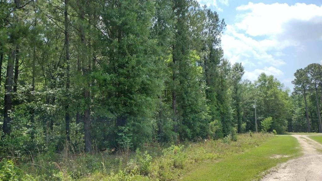 Manning, Clarendon County, SC Undeveloped Land, Homesites for sale