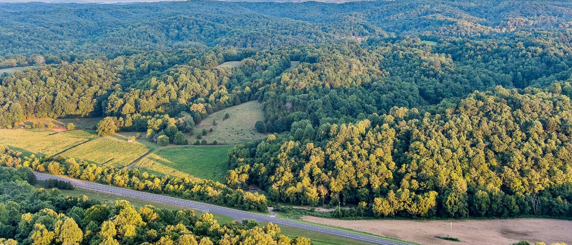 Summer Shade, Metcalfe County, KY Undeveloped Land for sale Property ID